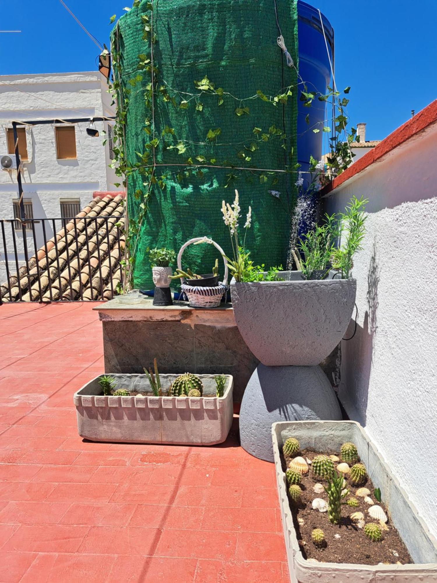 Casa Paloma Apartman Jaén Kültér fotó
